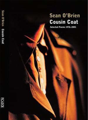 Cover of the book Cousin Coat by Ruth Hamilton