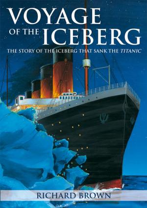 Cover of the book Voyage of the Iceberg by John F. Conway