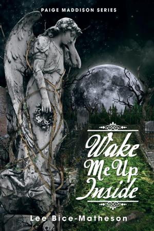 Cover of the book Wake Me Up Inside by Beth O'Kelly
