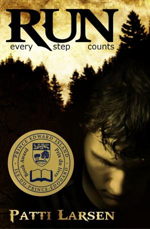 Cover of the book RUN by Andrew Stanek