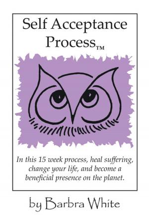 Cover of the book Self Acceptance Process™ by Christopher C. Gibbs