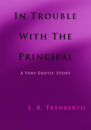Cover of the book In Trouble With the Principal by Christian Lamant