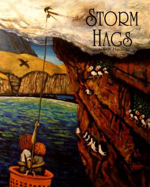 bigCover of the book Storm Hags by 