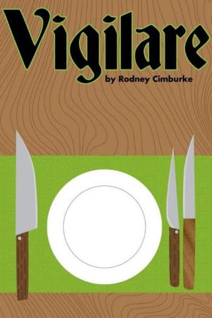 Cover of Vigilare