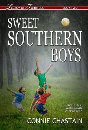 bigCover of the book Sweet Southern Boys by 