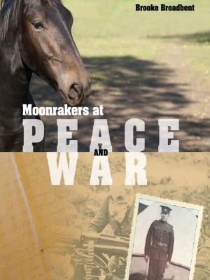 Cover of Moonrakers at Peace and War