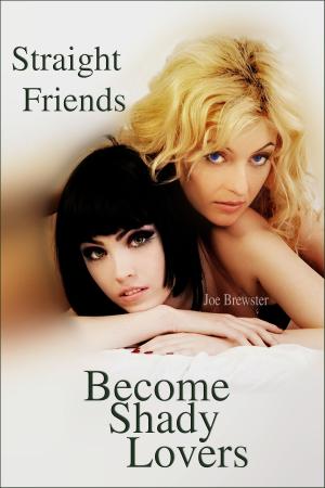 Cover of the book Straight Friends Become Shady Lovers by Ann Somuoy