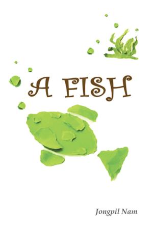 Cover of the book A Fish by J.D. Frodsham.