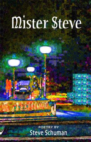 Cover of the book Mister Steve by Marjorie Dodge