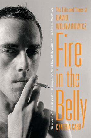 Cover of the book Fire in the Belly by Mr Martin Sherman