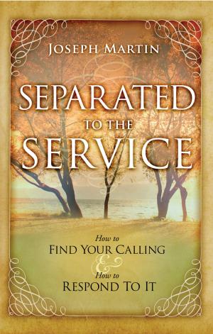 Cover of the book Separated to the Service by Jackson Ekwugum