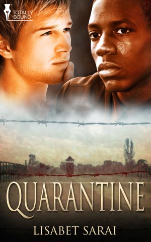 Cover of the book Quarantine by J.P. Bowie