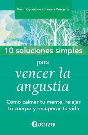 bigCover of the book 10 Soluciones simples para vencer la angustia. Como calmar tu mente, relajar tu cuerpo y recuperar tu vida by 