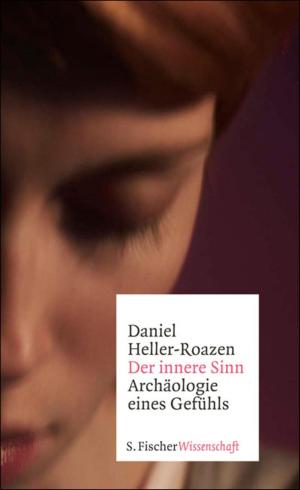 Cover of the book Der innere Sinn by Andreas Kraß