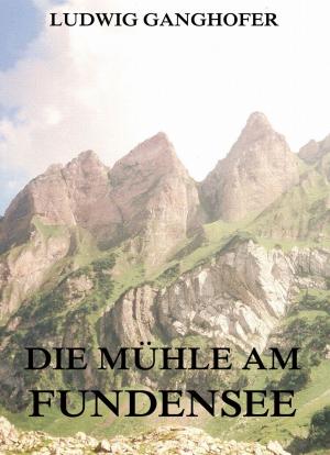 Cover of the book Die Mühle am Fundensee by Friedrich Engels