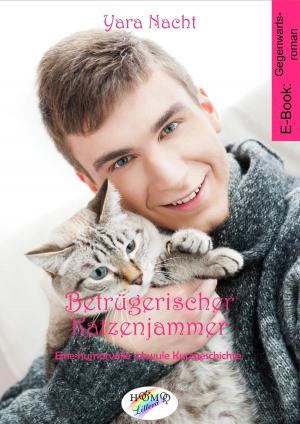 Cover of the book Betrügerischer Katzenjammer by Lena Seidel