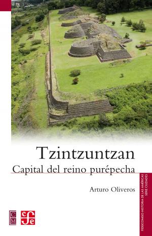 Cover of the book Tzintzuntzan by Mario Núñez Mariel
