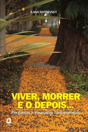 Cover of the book Viver, morrer e o depois... by Sabine Fels