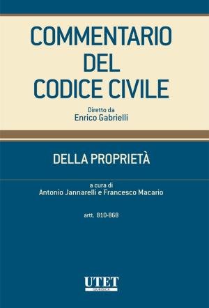 Book cover of Della Proprietà - artt. 810-868