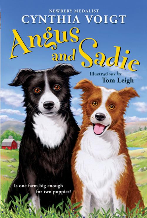 Cover of the book Angus and Sadie by Cynthia Voigt, Greenwillow Books