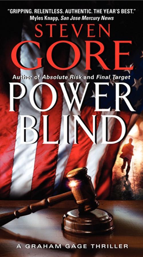 Cover of the book Power Blind by Steven Gore, Harper