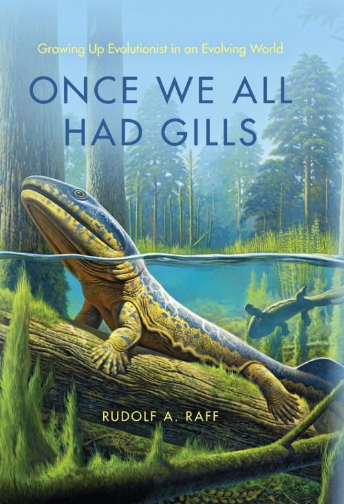 Cover of the book Once We All Had Gills by Rudolf A. Raff, Indiana University Press