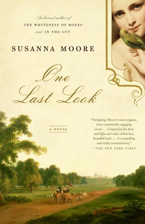 Cover of the book One Last Look by Susanna Moore, Knopf Doubleday Publishing Group