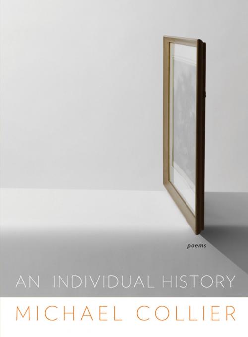 Cover of the book An Individual History: Poems by Michael Collier, W. W. Norton & Company