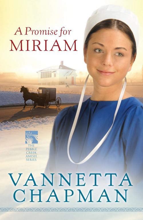 Cover of the book A Promise for Miriam by Vannetta Chapman, Harvest House Publishers, Inc.