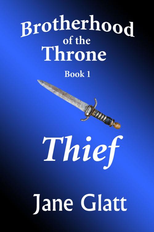 Cover of the book Thief by Jane Glatt, Jane Glatt