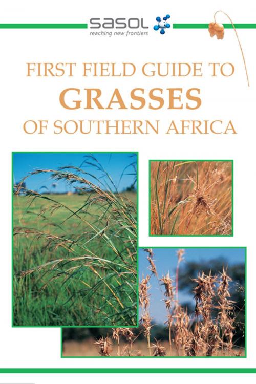 Cover of the book First Field Guide to Grasses of Southern Africa by Gideon Smith, Penguin Random House South Africa