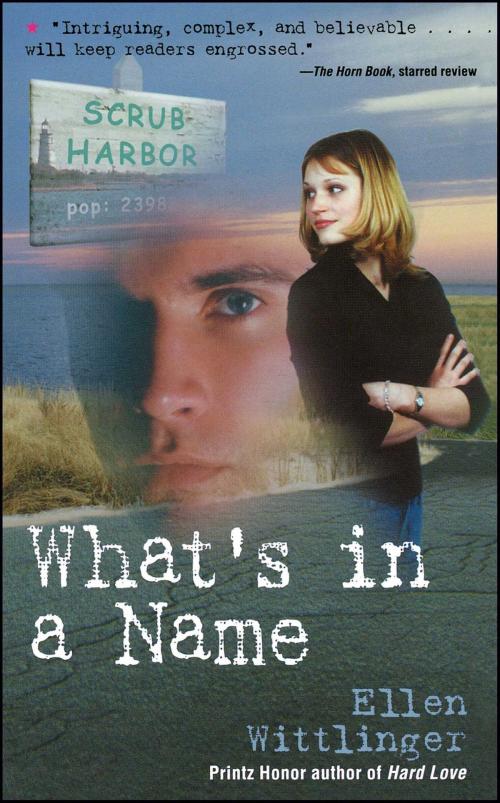 Cover of the book What's in a Name by Ellen Wittlinger, Simon & Schuster Books for Young Readers