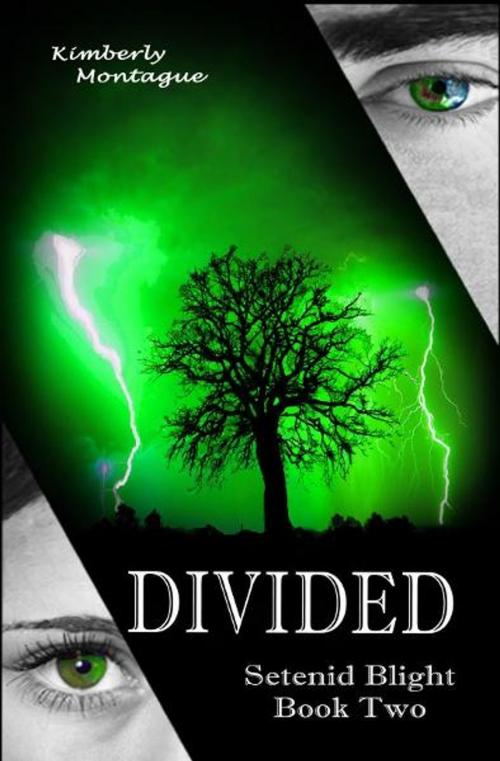 Cover of the book Divided: Setenid Blight Book Two by Kimberly Montague, Kimberly Montague