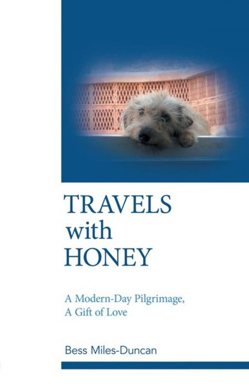 Cover of the book Travels with Honey by Bess Miles-Duncan, Balboa Press