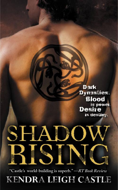 Cover of the book Shadow Rising by Kendra Leigh Castle, Grand Central Publishing