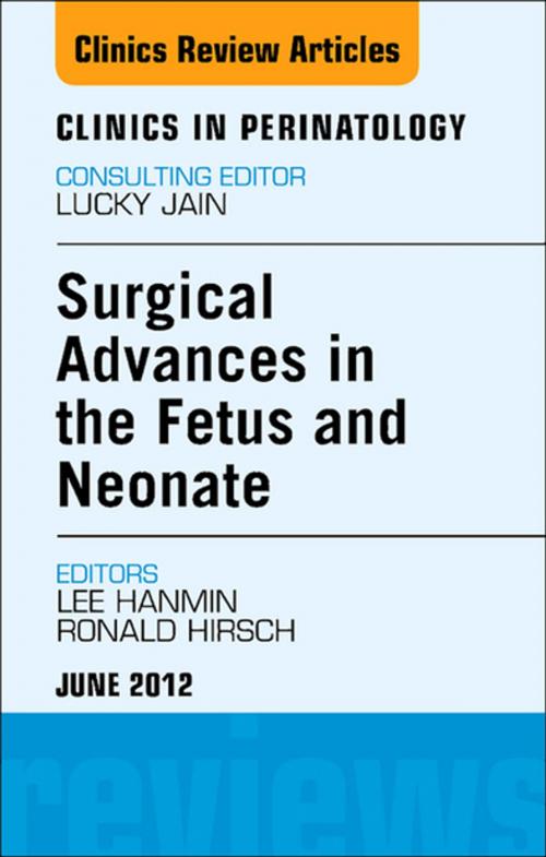 Cover of the book Innovations in Fetal and Neonatal Surgery, An Issue of Clinics in Perinatology - E-Book by Hanmin Lee, MD, Ronald B. Hirschl, MD, Elsevier Health Sciences