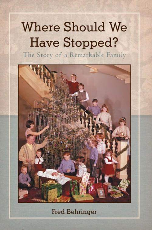 Cover of the book Where Should We Have Stopped? by Fred Behringer, iUniverse