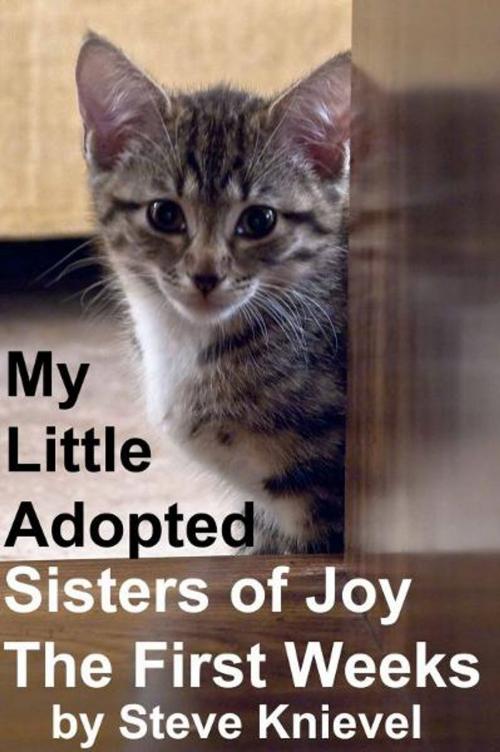 Cover of the book My Little Adopted Sisters of Joy The first Weeks by Steve Knievel, Steve Knievel