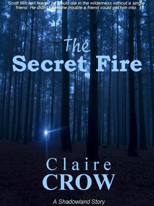 Cover of the book The Secret Fire by Claire Crow, Secret Fire Press