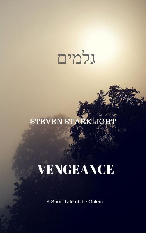 Cover of the book Vengeance by Steven Starklight, Steven Starklight