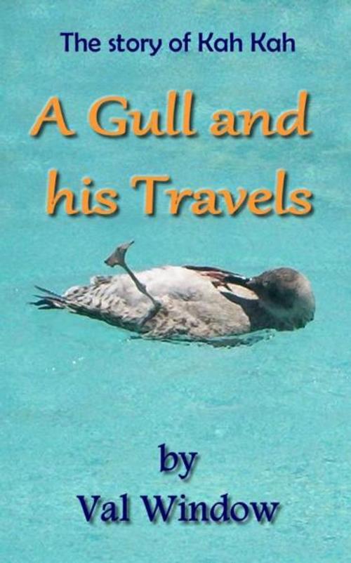 Cover of the book The story of Kah-Kah: A Gull and his Travels by Valerie Window, Valerie Window