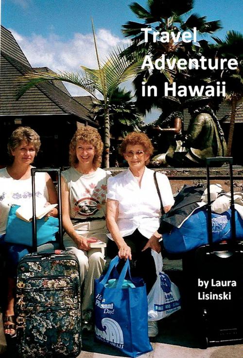 Cover of the book Travel Adventure in Hawaii by Laura Lisinski, Laura Lisinski
