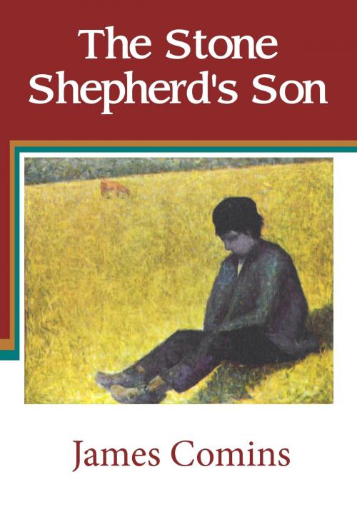 Cover of the book The Stone Shepherd's Son by James Comins, James Comins