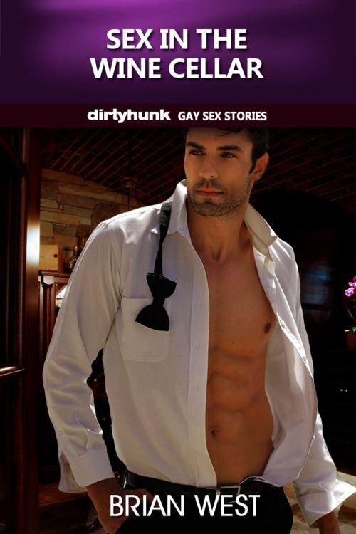 Cover of the book Sex in the Wine Cellar (Dirtyhunk Gay Sex Stories) by Brian West, Dirtyhunk Books