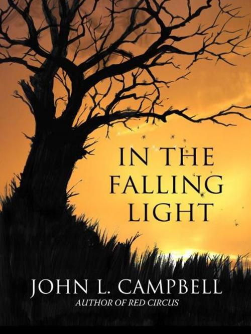 Cover of the book In The Falling Light by John L. Campbell, John L. Campbell