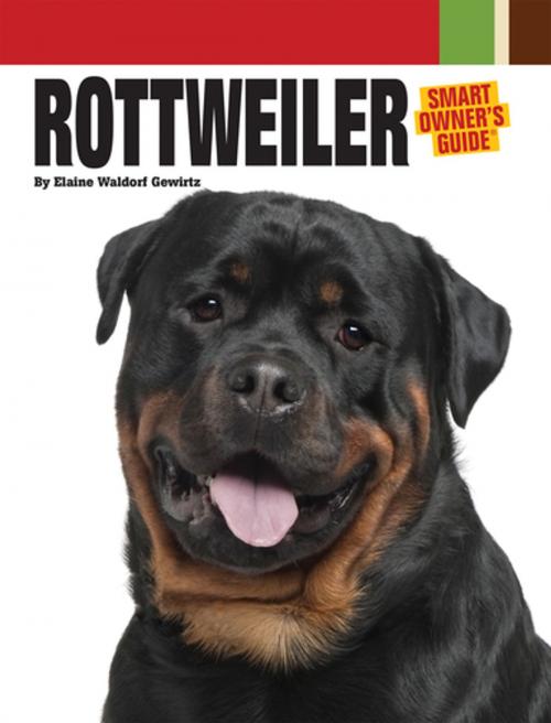 Cover of the book Rottweiler by Elaine Waldorf Gewirtz, CompanionHouse Books