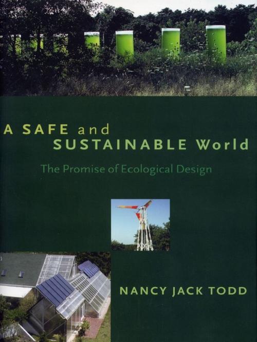 Cover of the book A Safe and Sustainable World by Nancy Jack Todd, Island Press