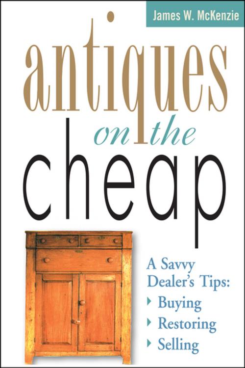 Cover of the book Antiques on the Cheap by James W. McKenzie, Storey Publishing, LLC