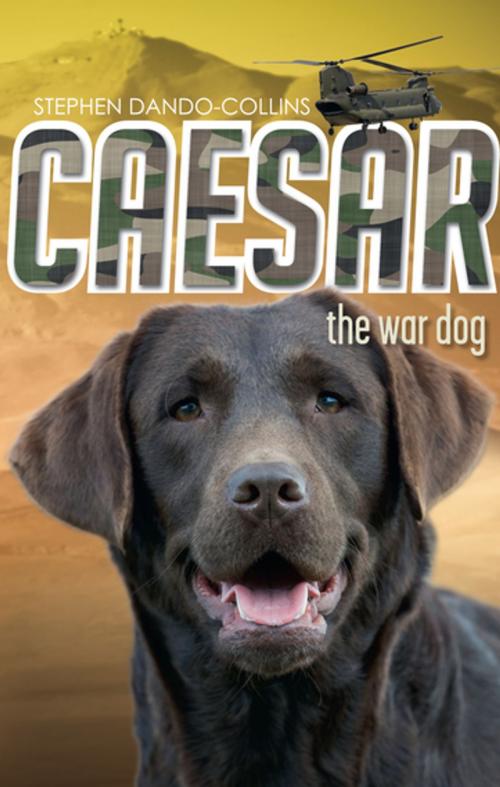 Cover of the book Caesar the War Dog by Stephen Dando-Collins, Penguin Random House Australia