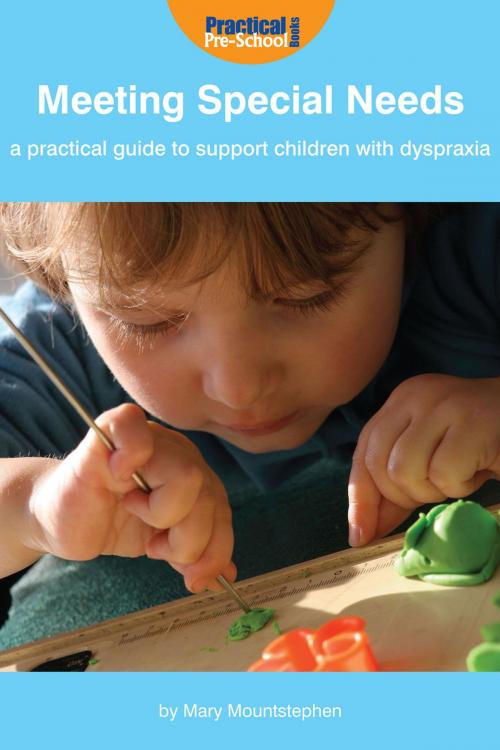 Cover of the book Meeting Special Needs: A practical guide to support children with Dyspraxia by Mary Mountstephen, Andrews UK